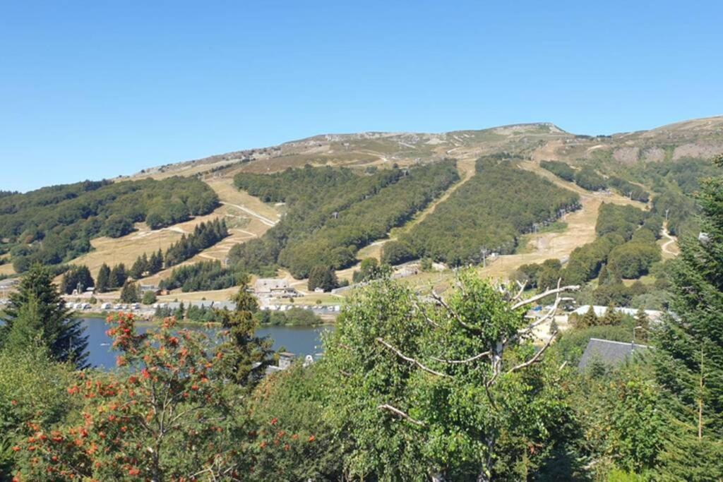 Authentique Chalet Vue Sur Le Lac Et Les Pistes Besse-et-Saint-Anastaise Εξωτερικό φωτογραφία